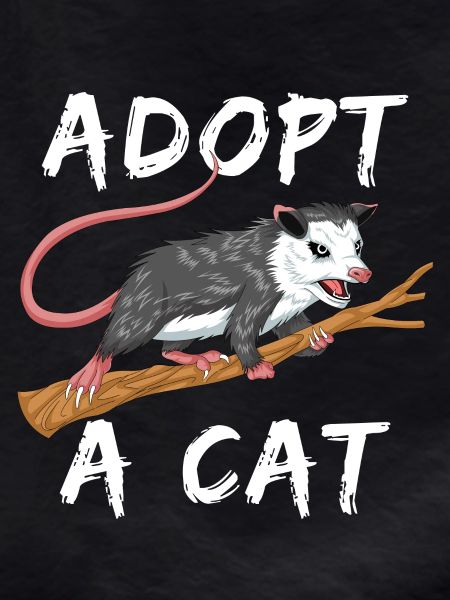 adopter un chat