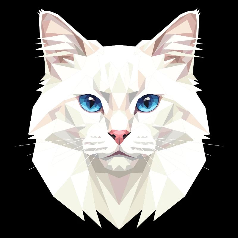 Chat Angora Chat Angora Chat Angora Mignons Chats Angora