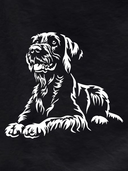 Deutsch Drahthaar "Black Edition"