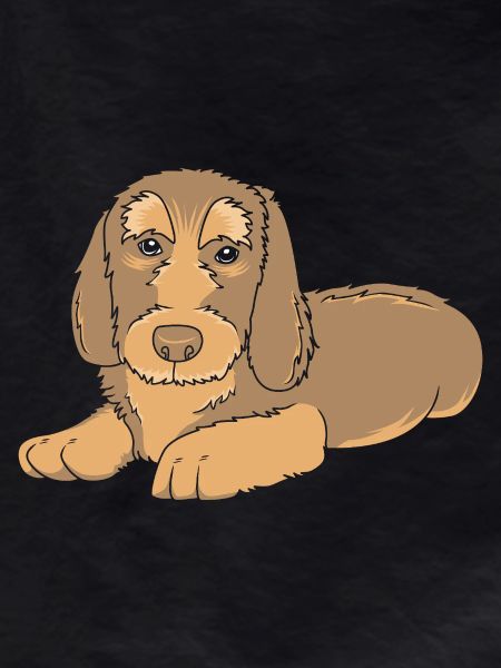 Dachshund wire-haired dachshund