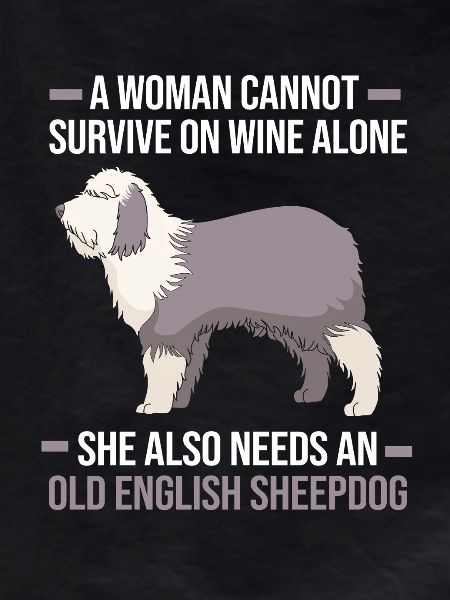 English Shepherd
