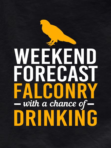 Falcon Chirp Falconry