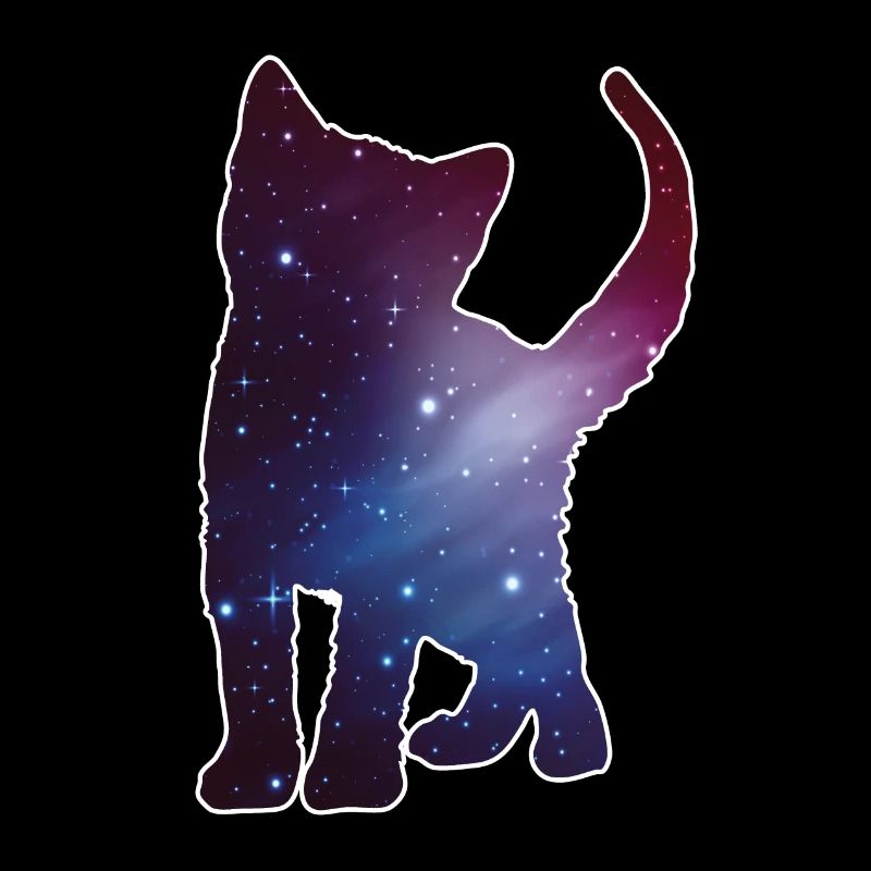 Chat Kitten Silhouette Cat Espace Espace Cadeau