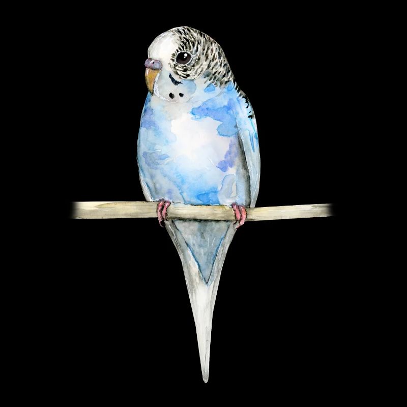 Blau gefleckt budgerigar Aquarell