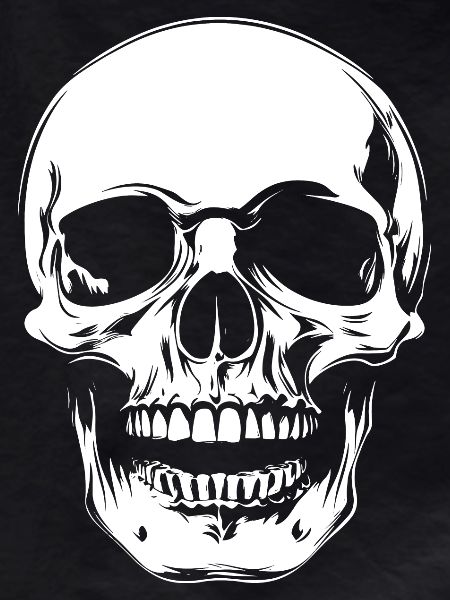 Skull