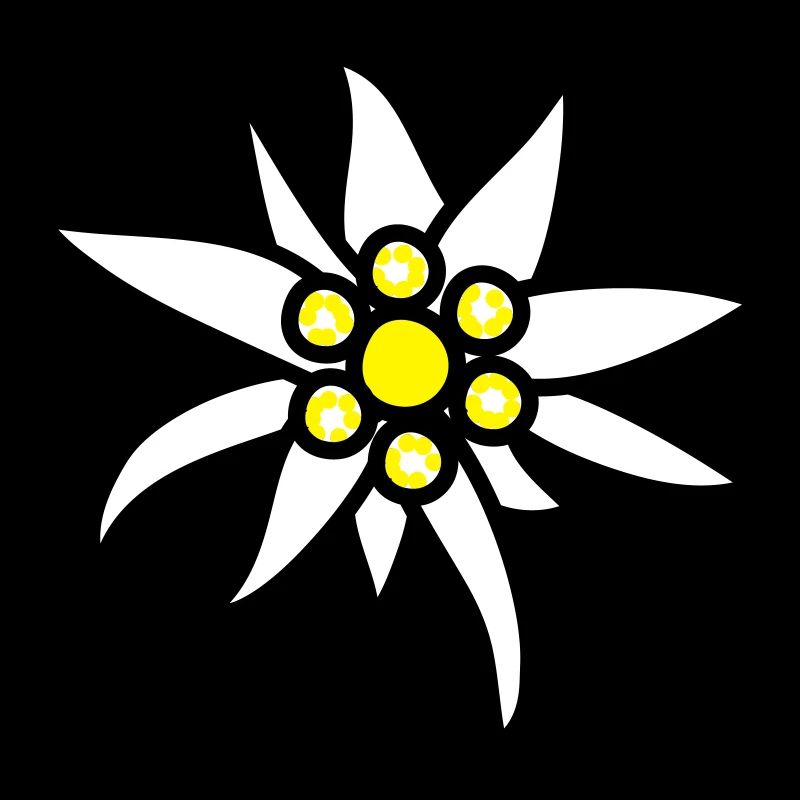 Edelweiss