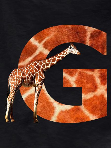 giraffe g