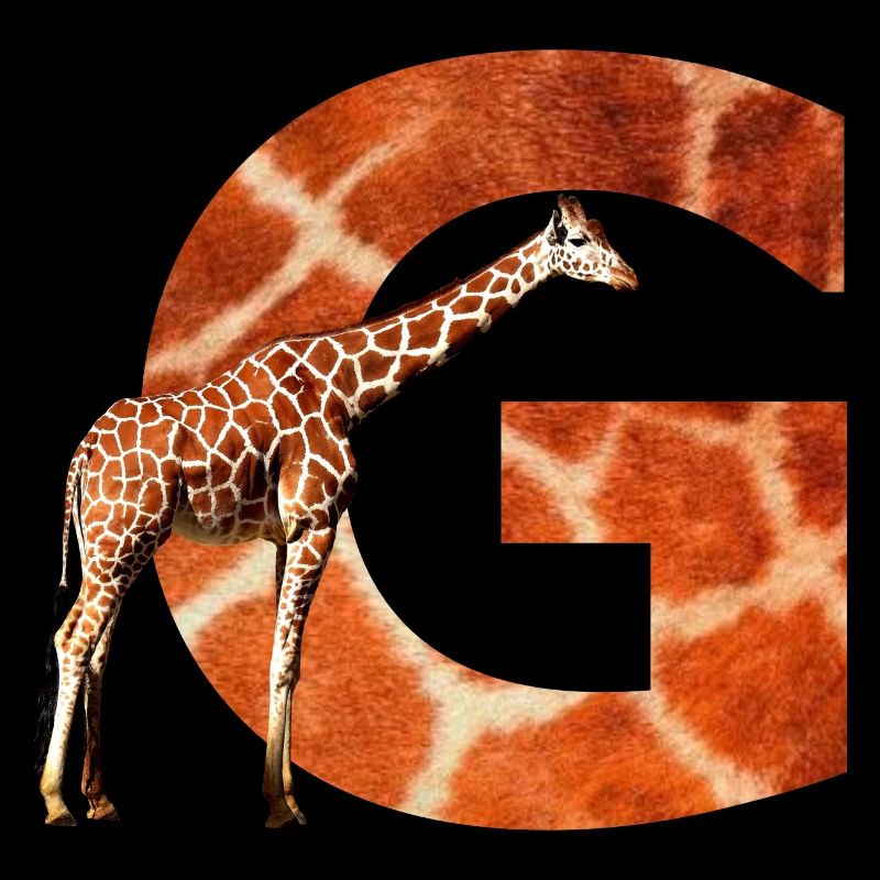 giraffe g