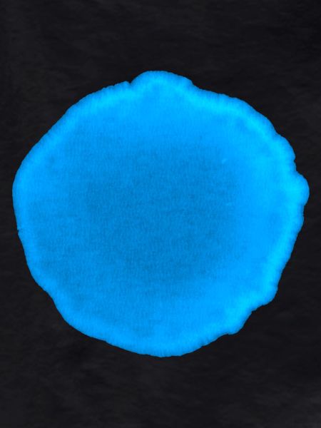 Point Bleu