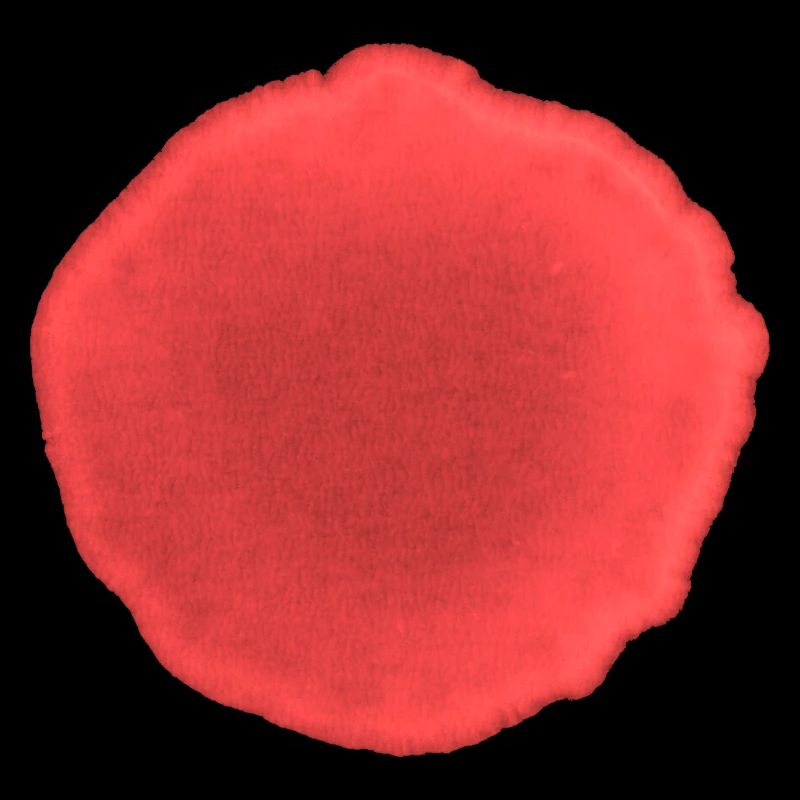 Punkt Rot