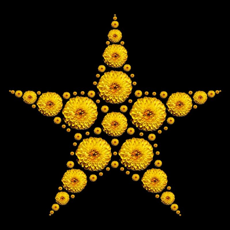 étoile de dahlia jaune