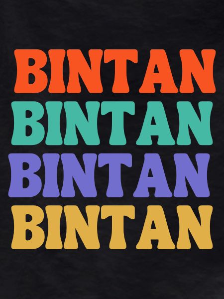 Bintan Indonesia