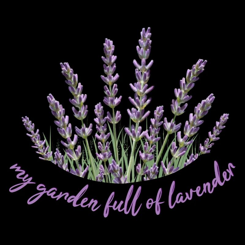 Lavender Lavendel