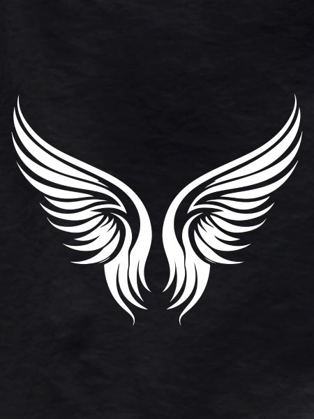 Wings symbol silhouette