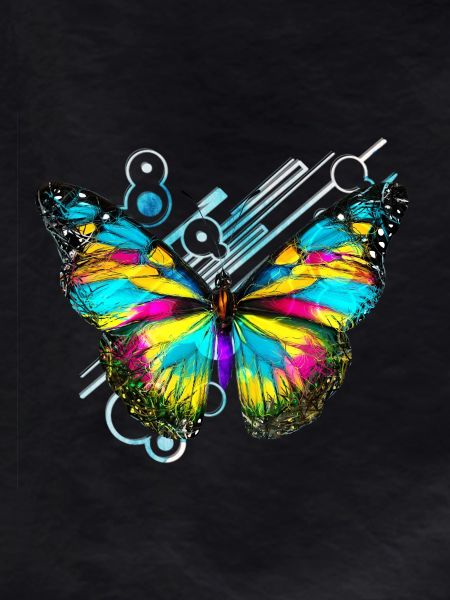 Abstract Rainbow Butterfly