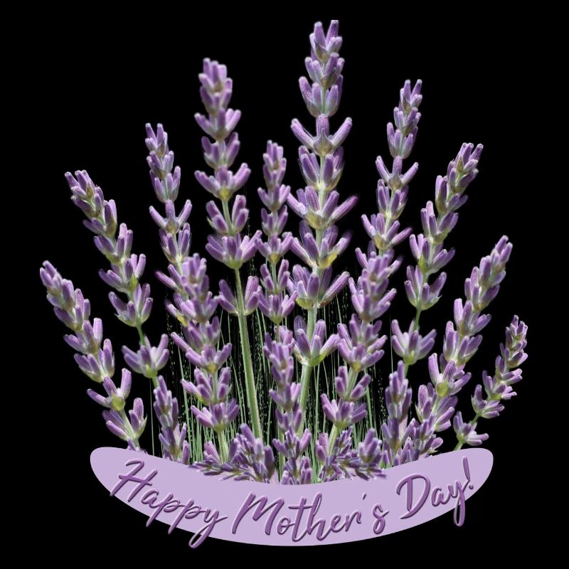 Lavendel Herz Muttertag Motiv beste Mama
