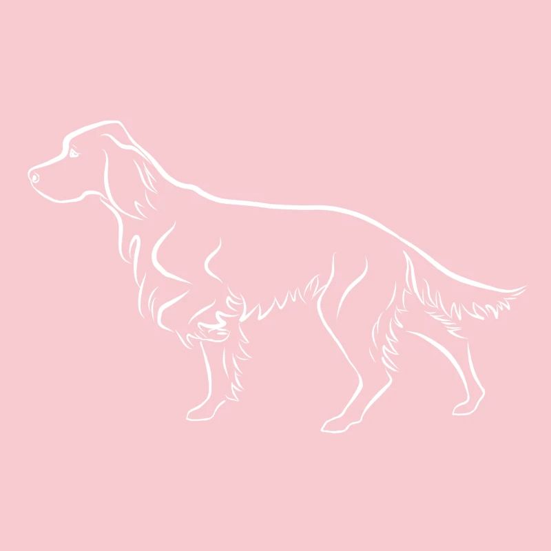 Setter ci-dessus