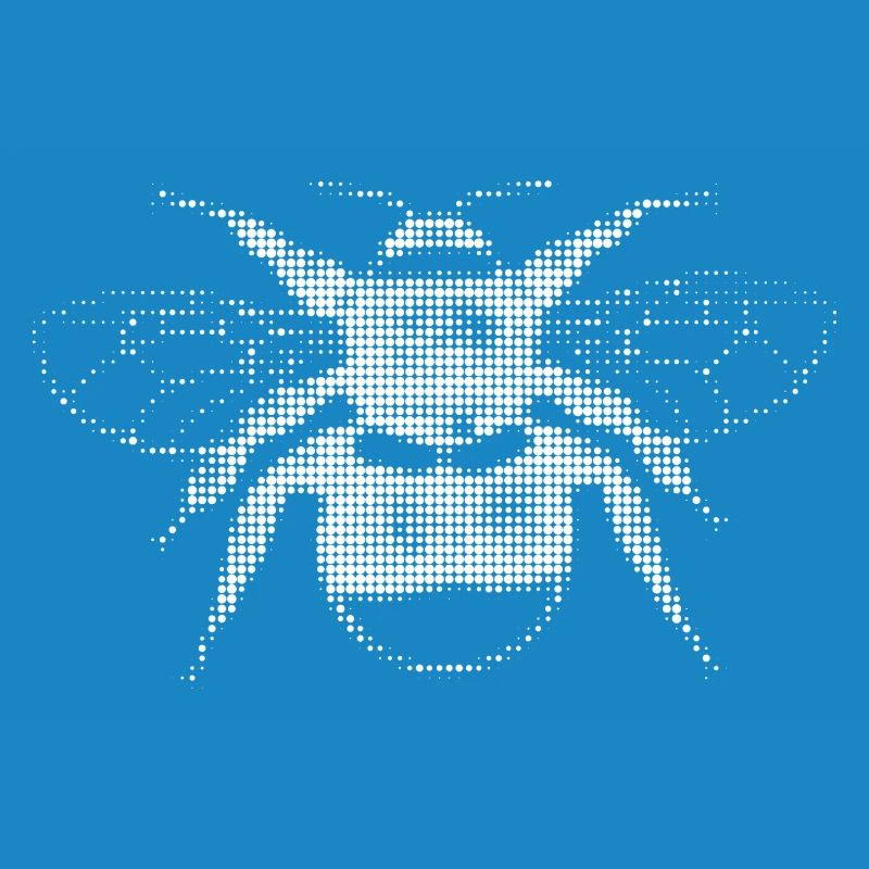 Bee in pixel optics