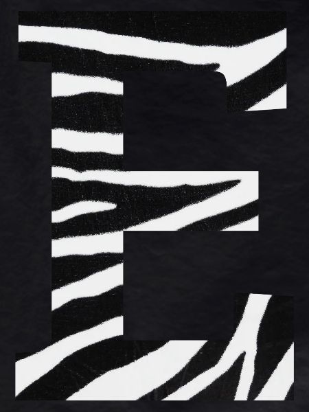 Letter e zebra