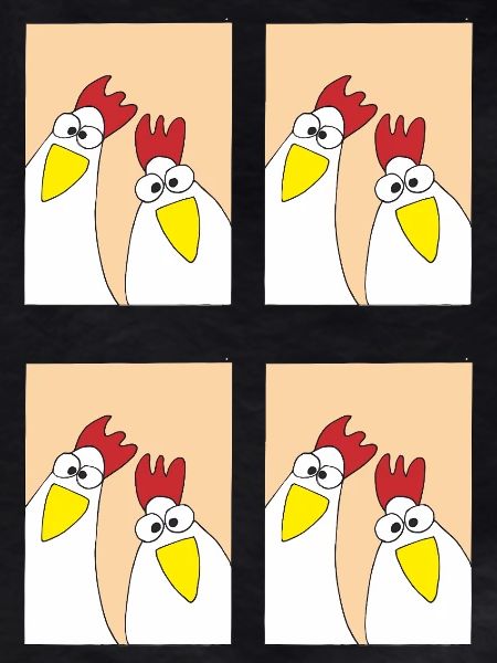Funny Chickens Pictures