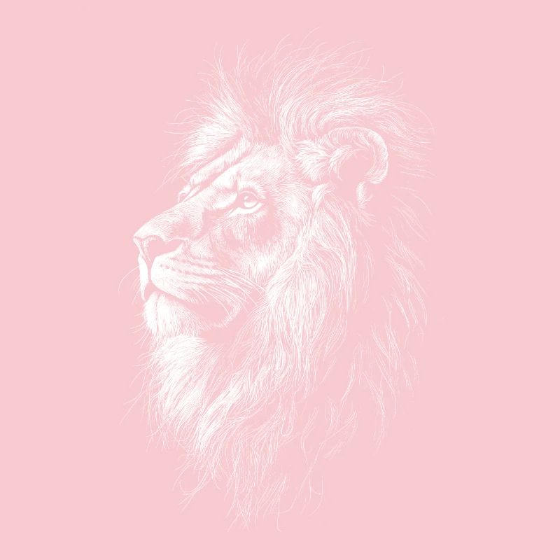 Lion Silhouette Drawing
