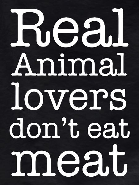 Vegan Real Animal Lovers