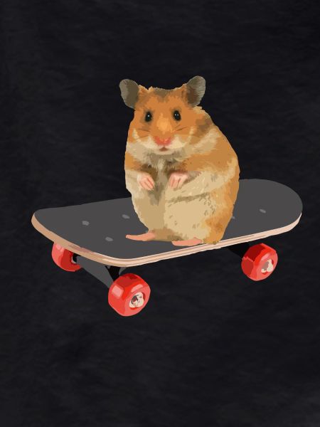 Skateboard Hamster