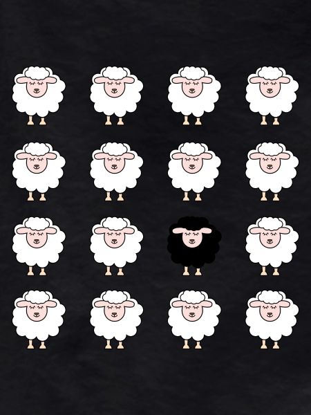 Sheep