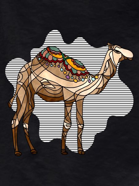 Camel