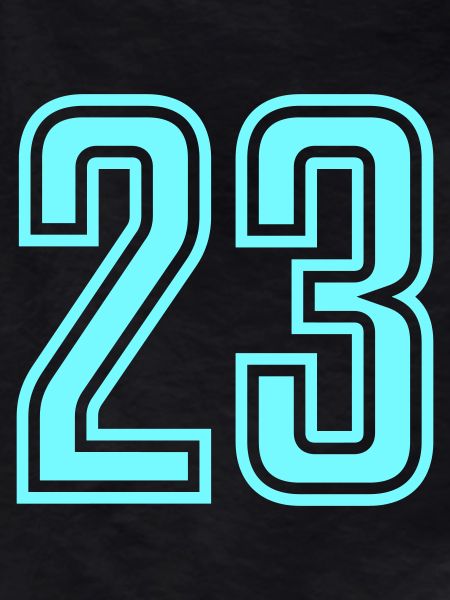 23