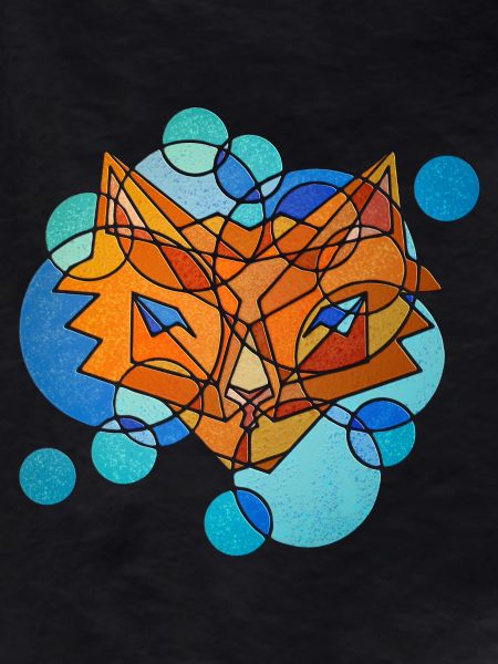 Fox Geometry