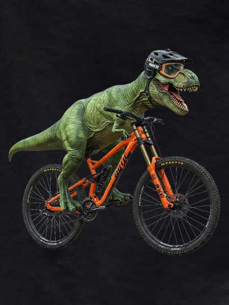 Bikosaurus Rex