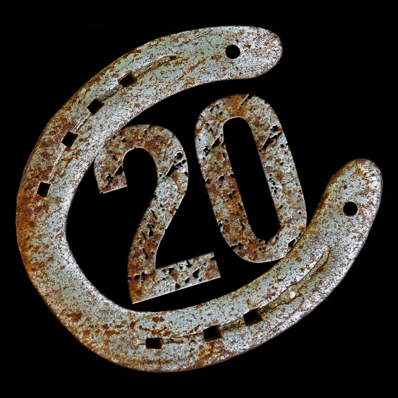 Fer à cheval - 20 ans