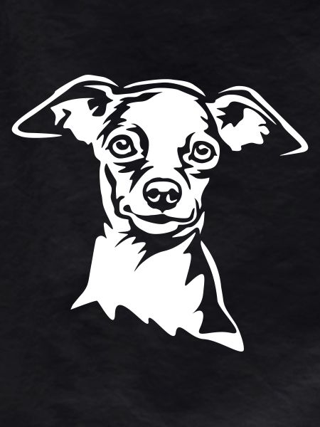 Zwergpinscher Head "Black Edition"