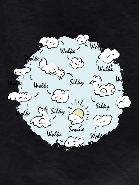 Silk Cloud