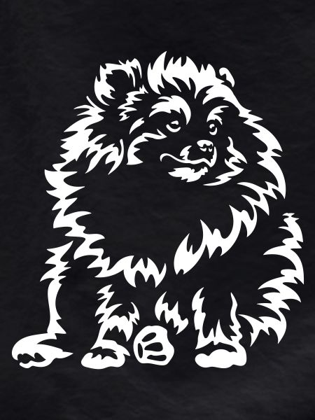 Dwarf Spitz "Black Edition"