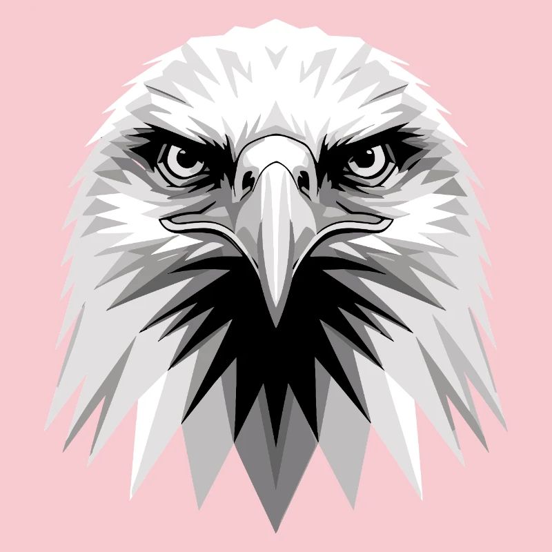 Aigle Pygargue à tête blanche Aigle royal Pygargue à queue blanche