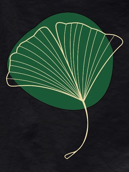Ginkgo