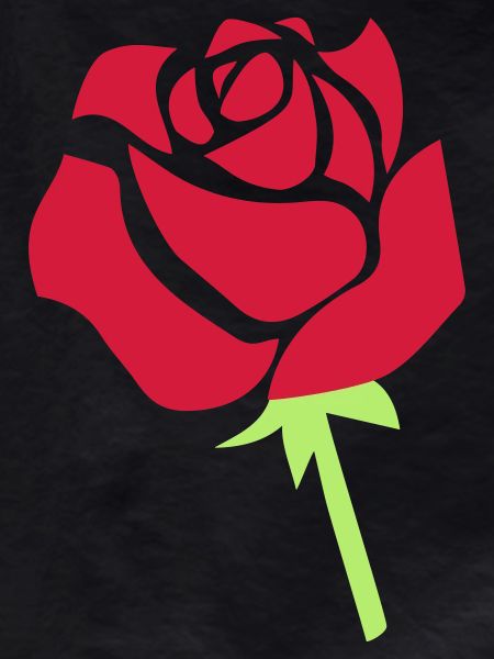 rose
