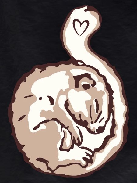 Hazel dormouse
