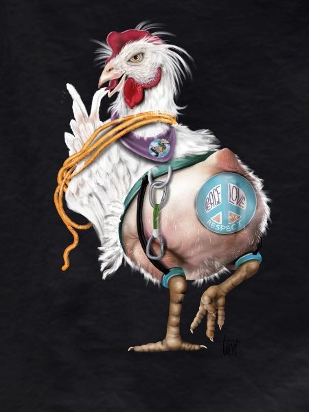 Crazy chicken