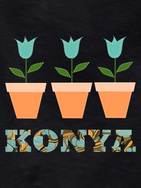 Konya E 204