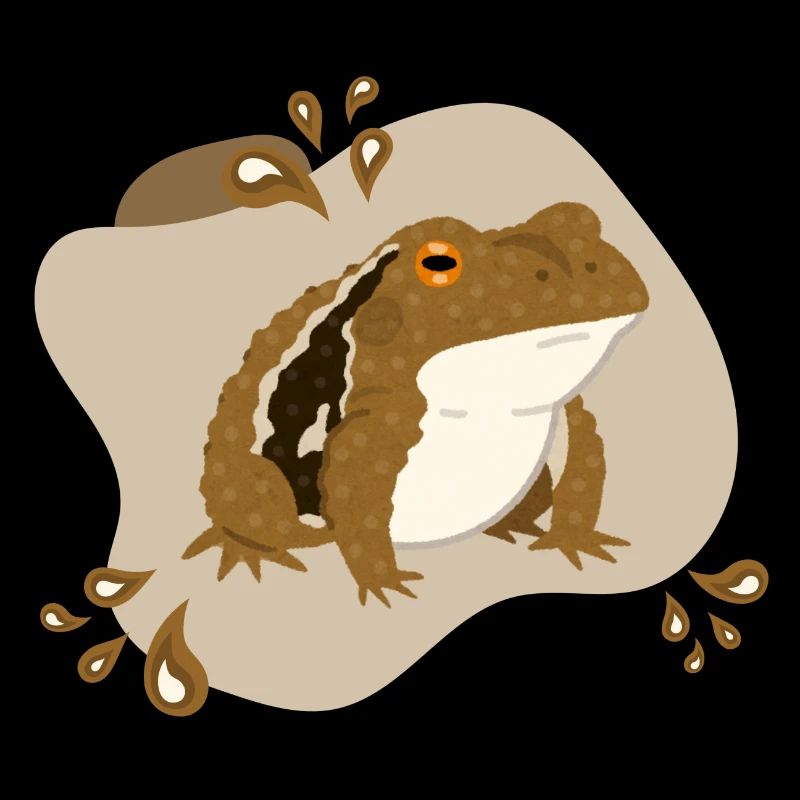 Crapaud