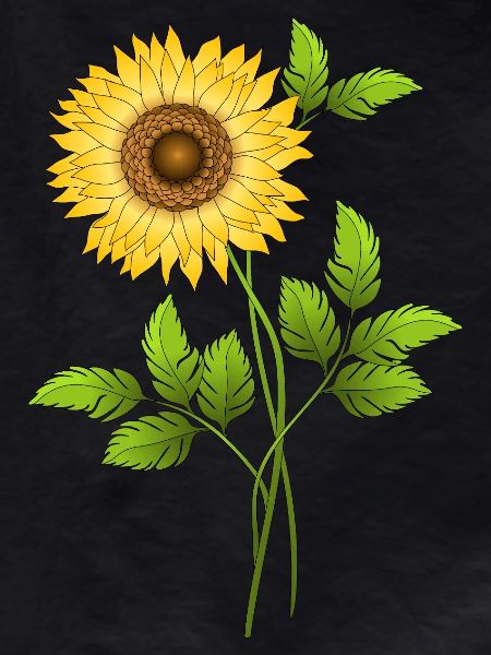 Fleur