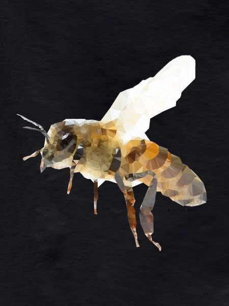 Abeille