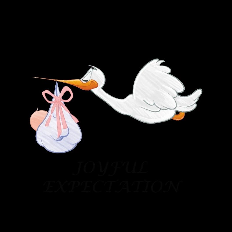 Grossesse Grossesse Bébé Grossesse Naissance Cigogne