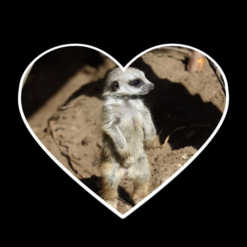 Niedliches Erdmännchen