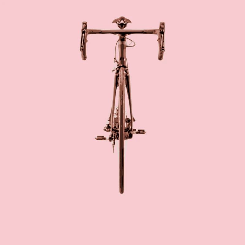 Devant de bicyclette rougeâtre devant