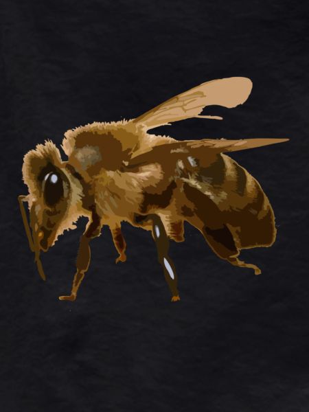 Bee Fluff