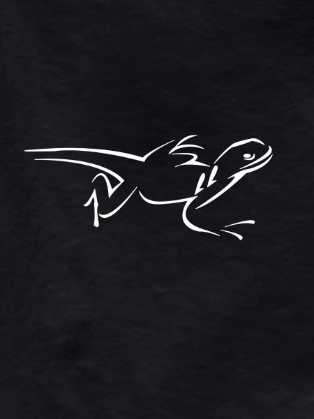 lizard